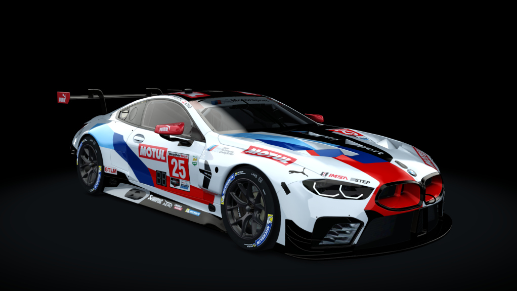 GTLM BMW M8 GTE (AC-Friends), skin 2020_25