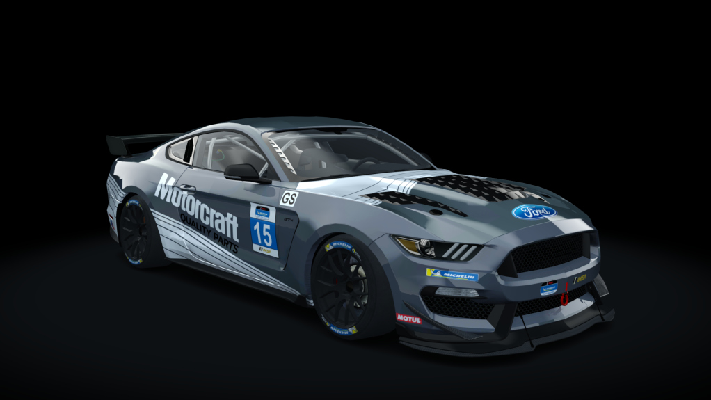 BLCKBOX ~ Ford Mustang RTR GT4, skin 15