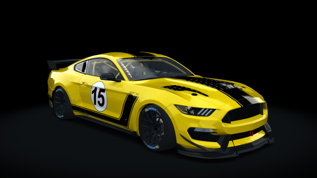 BLCKBOX ~ Ford Mustang RTR GT4, skin 5