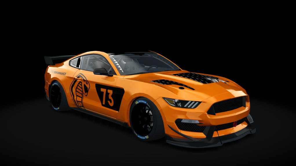 BLCKBOX ~ Ford Mustang RTR GT4, skin 9