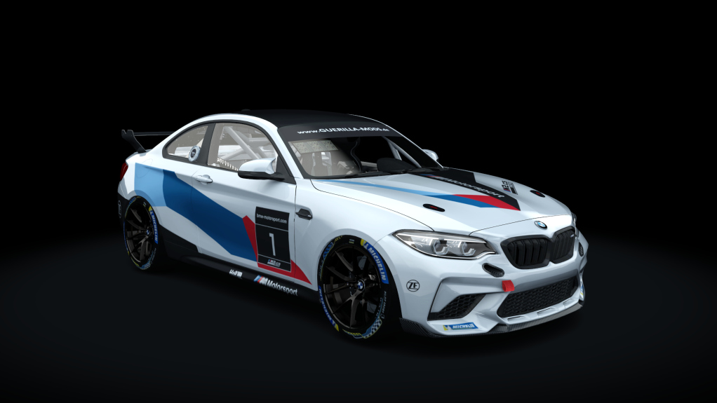 BMW M2 CS Racing, skin bmw