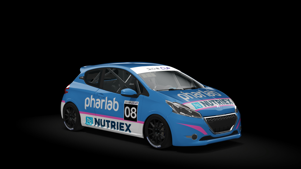 Peugeot 208 Cup, skin 08