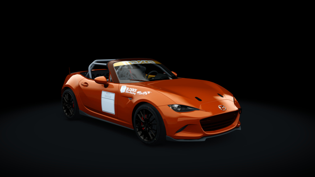 Mazda MX5 Cup, skin BB (11)