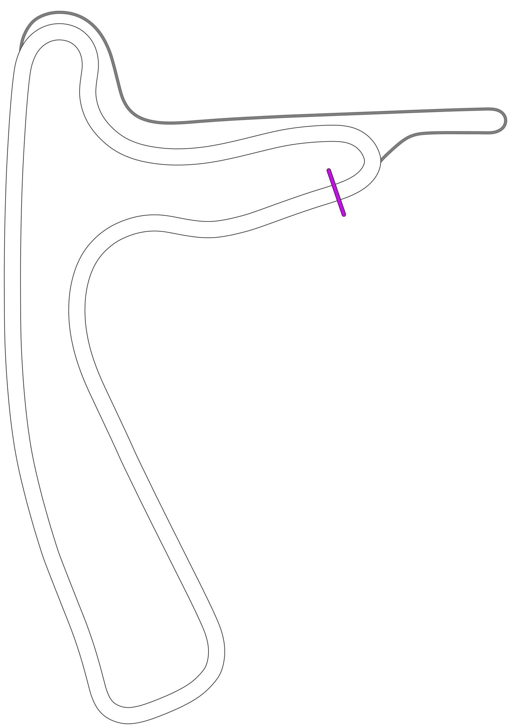 layout_rallycross